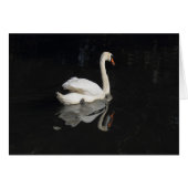Swan (Front Horizontal)