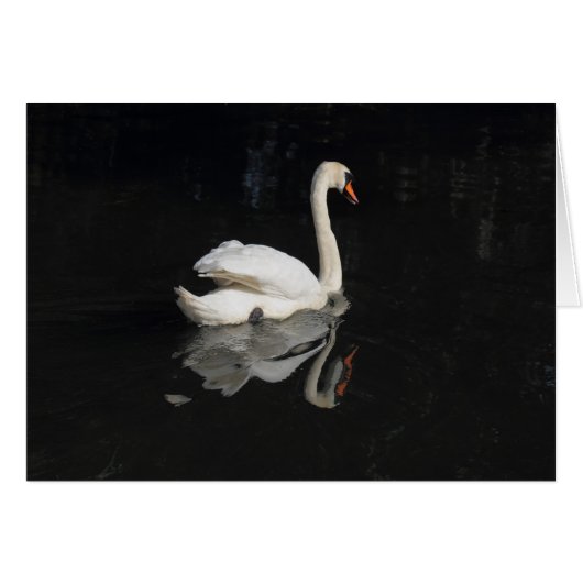 Swan (Front Horizontal)