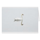 Swan (Front Horizontal)