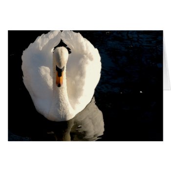 Swan by AuraEditions at Zazzle