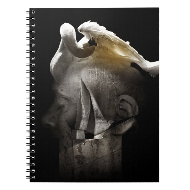 Swan 2013 notebook (Front)