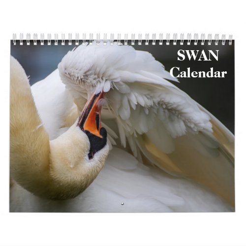 Swan 2024 calendar