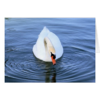 Swan #2 cards