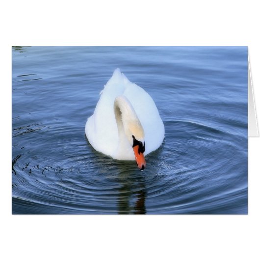 Swan #2 cards (Front Horizontal)