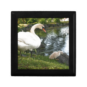 Swan and cygnet keepsake box
