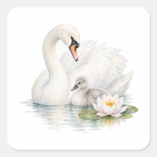 Swan and Cygnet with Water Lilies Square Sticker