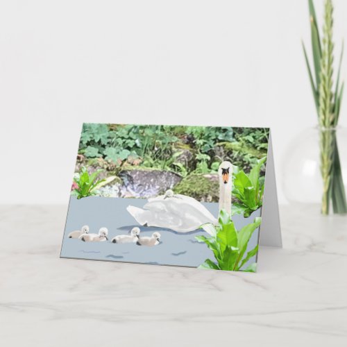 Swan and Cygnets Blank Card