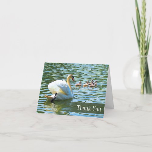 Swan and Cygnets Blank Thank You Notecard