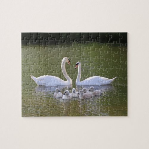 Swan and cygnets jigsaw puzzle