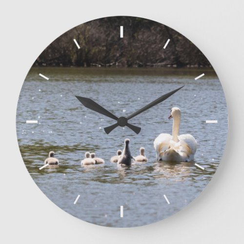 Swan and Cygnets Photograph Large Clock
