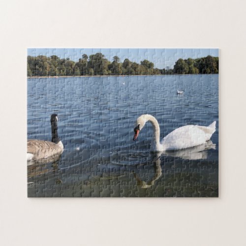 Swan and duck swimming  The Royal Park London Jigsaw Puzzle
