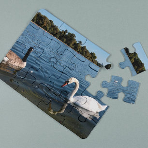 Swan and duck swimming The Royal Park London Jigsaw Puzzle