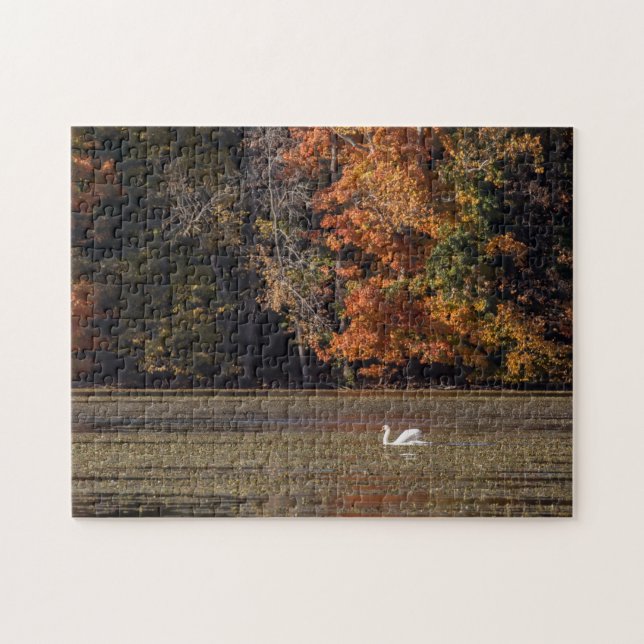 Swan and Fall Foliage Jigsaw Puzzle (Horizontal)