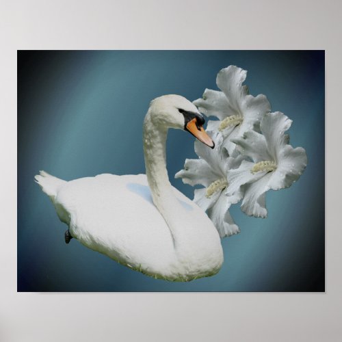 Swan And Hibiscus Flowers Nature Art Poster