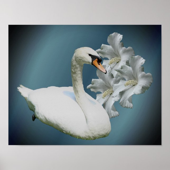 Swan And Hibiscus Flowers Nature Art Poster (Front)