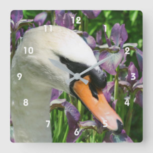Swan And Purple Bearded Iris Flowers Square Wall Clock