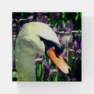 Swan And Purple Iris Flowers Paperweight