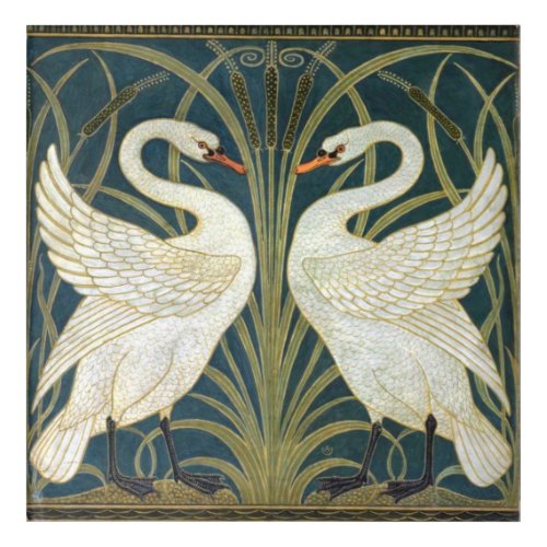 Swan and Rush and Iris Acrylic Print