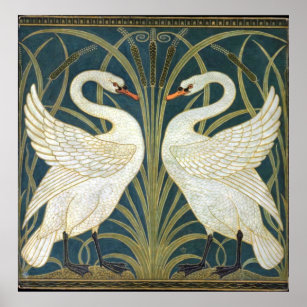Swan and Rush and Iris Wallpaper Illustration Poster