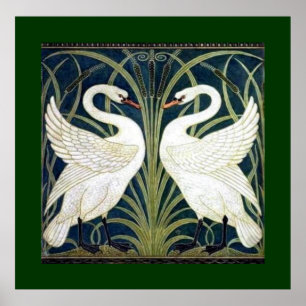 Swan and Rush and Iris wallpaper with green border Poster