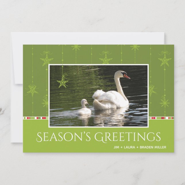 Swan and Star Ornaments Season's Greeting Holiday Card (Front)