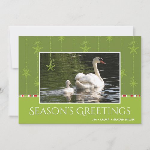 Swan and Star Ornaments Seasons Greeting Holiday Card