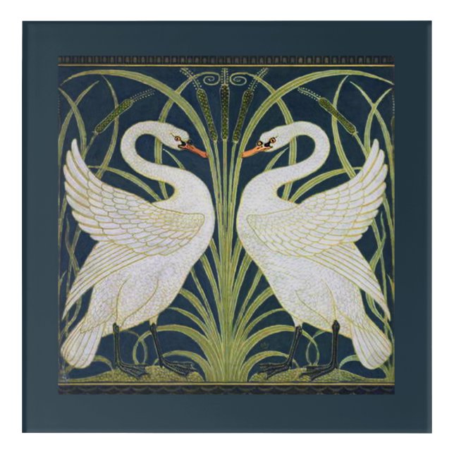 Swan Art Nouveau Two Swans  (Front)