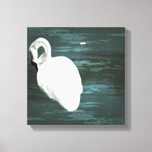 Swan at the Pond Canvas Print (Front)