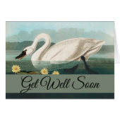 swan audubon bird white water swans (Front Horizontal)