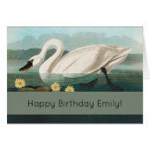 swan audubon bird white water swans (Front Horizontal)