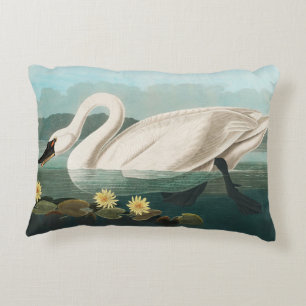 swan audubon bird white water swans accent pillow