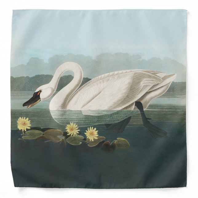 swan audubon bird white water swans bandana (Front)