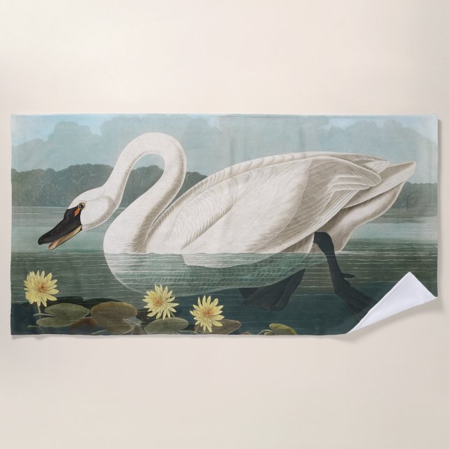 swan audubon bird white water swans beach towel (Front)