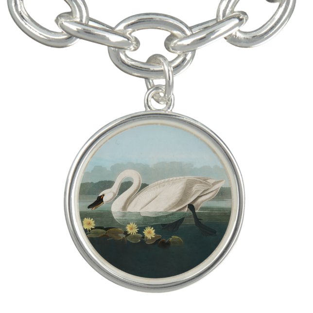 swan audubon bird white water swans bracelet (Design)