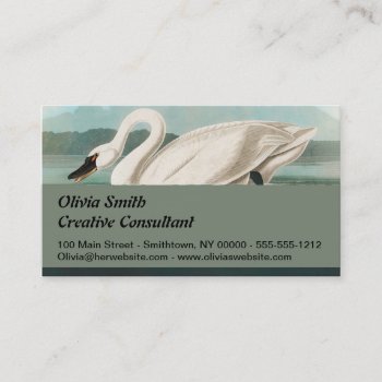 Swan Audubon Bird White Water Swans Business Card by antiqueart at Zazzle