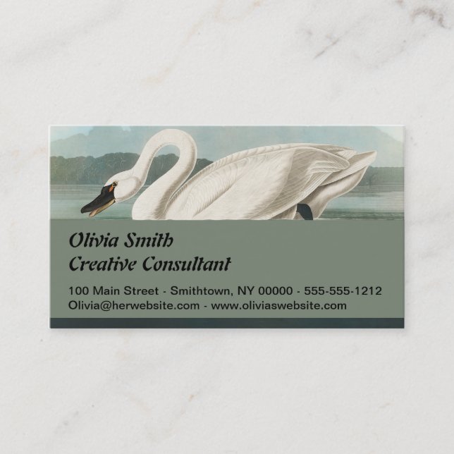 swan audubon bird white water swans business card (Front)