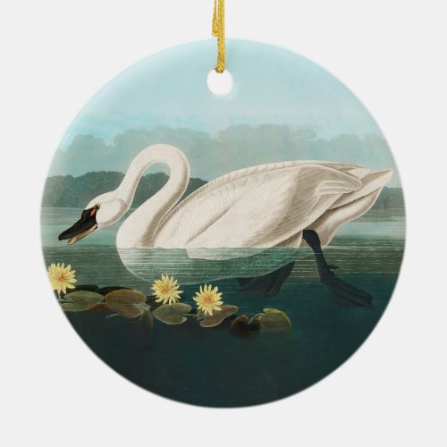 swan audubon bird white water swans ceramic ornament