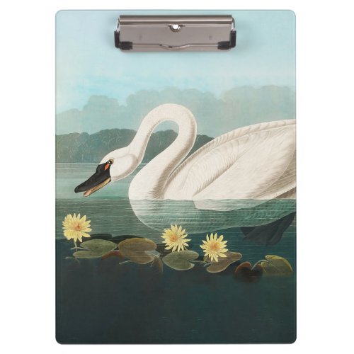 swan audubon bird white water swans clipboard
