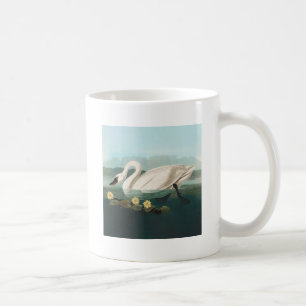 swan audubon bird white water swans coffee mug