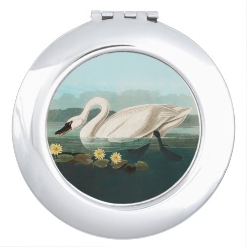 swan audubon bird white water swans compact mirror
