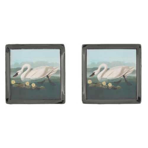 swan audubon bird white water swans cufflinks