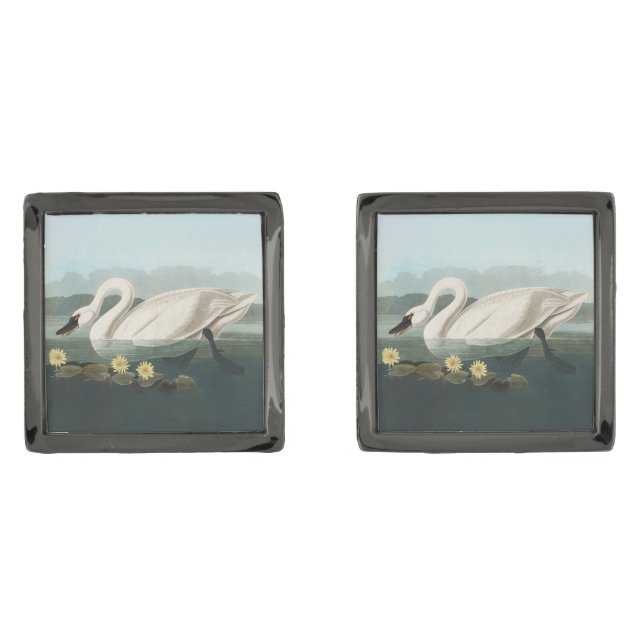 swan audubon bird white water swans cufflinks (Front)