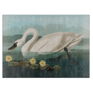 swan audubon bird white water swans cutting board
