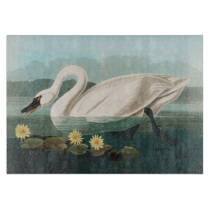 swan audubon bird white water swans cutting board