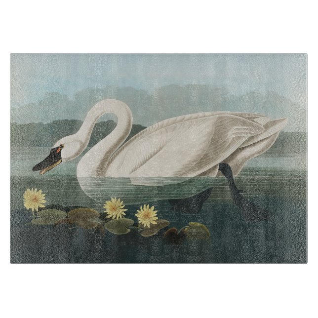 swan audubon bird white water swans cutting board (Front)