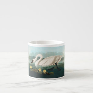 swan audubon bird white water swans espresso cup