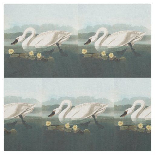 swan audubon bird white water swans fabric