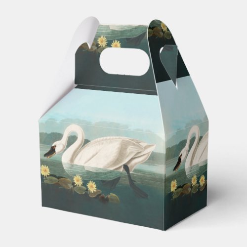 swan audubon bird white water swans favor boxes