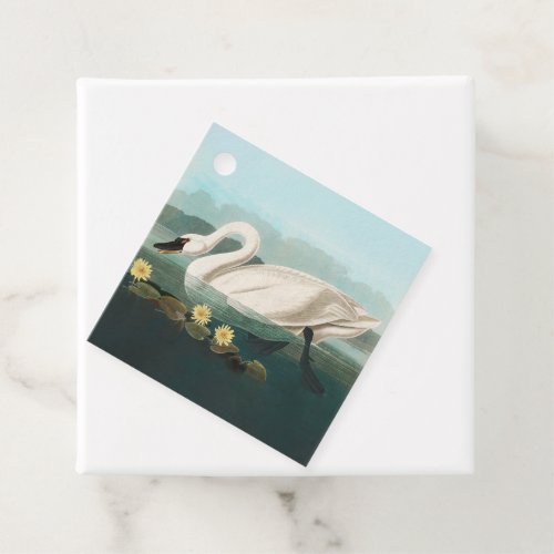 swan audubon bird white water swans favor tags