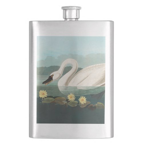swan audubon bird white water swans flask